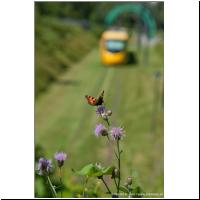 2012-07-07 2 Coteaux 2015 02.jpg